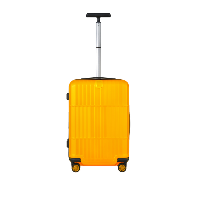 #color_canary-yellow